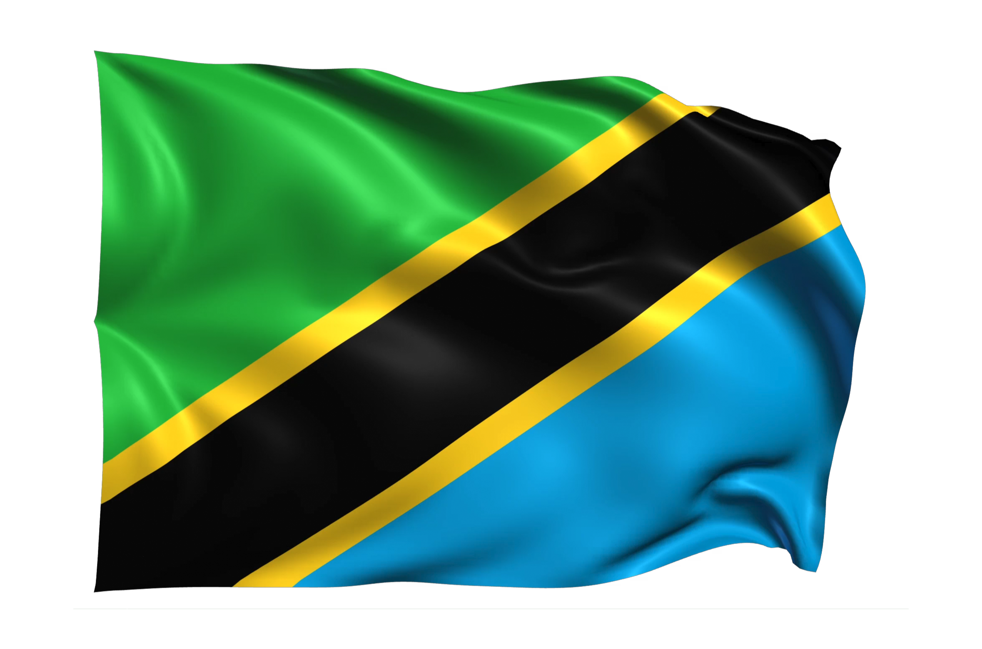 Tanzania flag